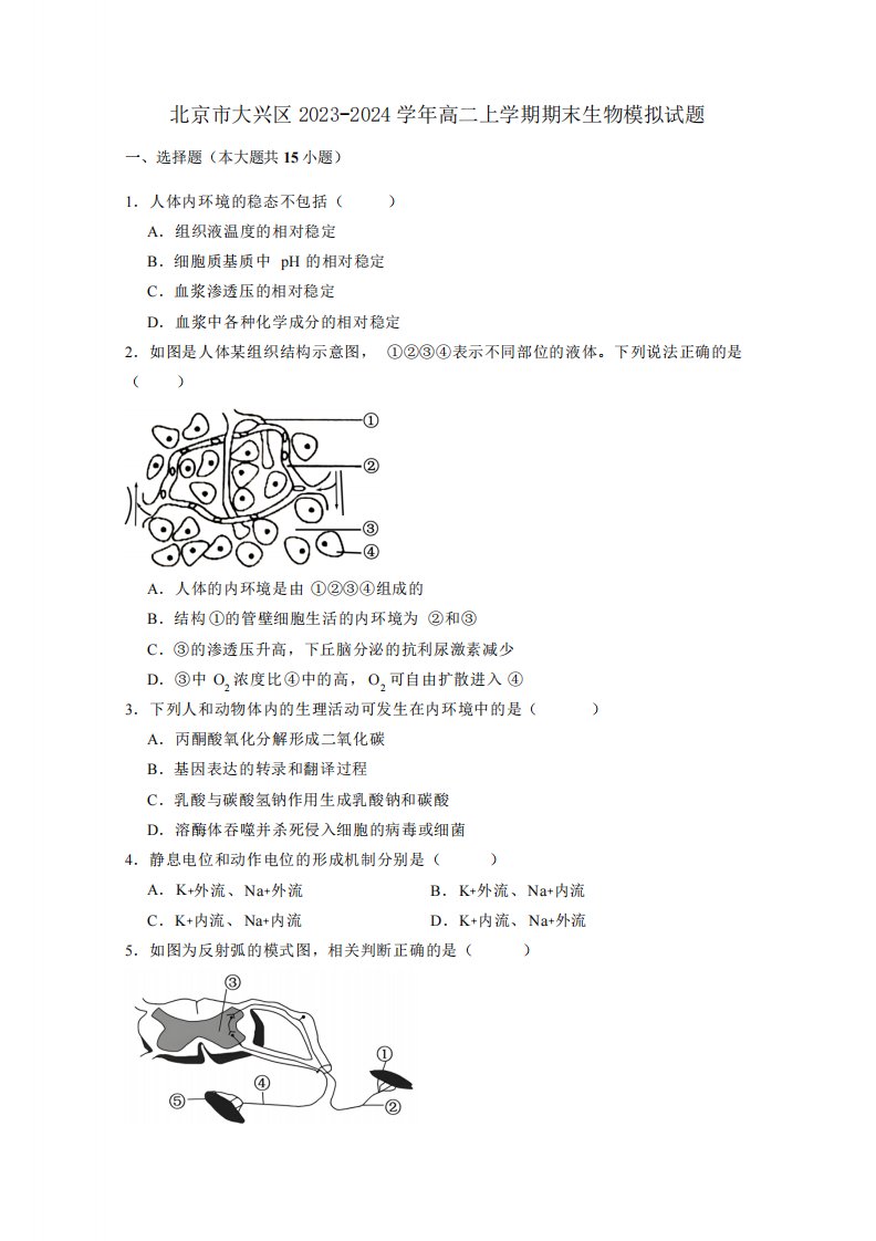 北京市大兴区2023-2024学年高二上册期末生物模拟试题(附答案)