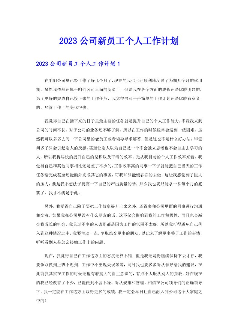 2023公司新员工个人工作计划