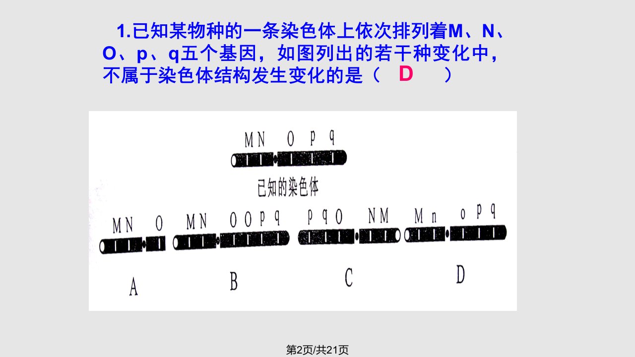 染色体畸变141学习