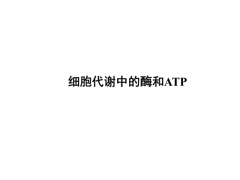 酶和ATP复习