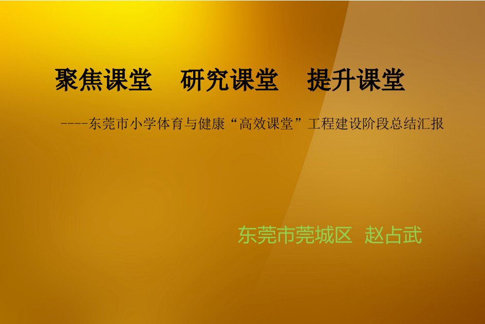 东莞市小学体育与健康高效课堂工程建设阶段总结汇报