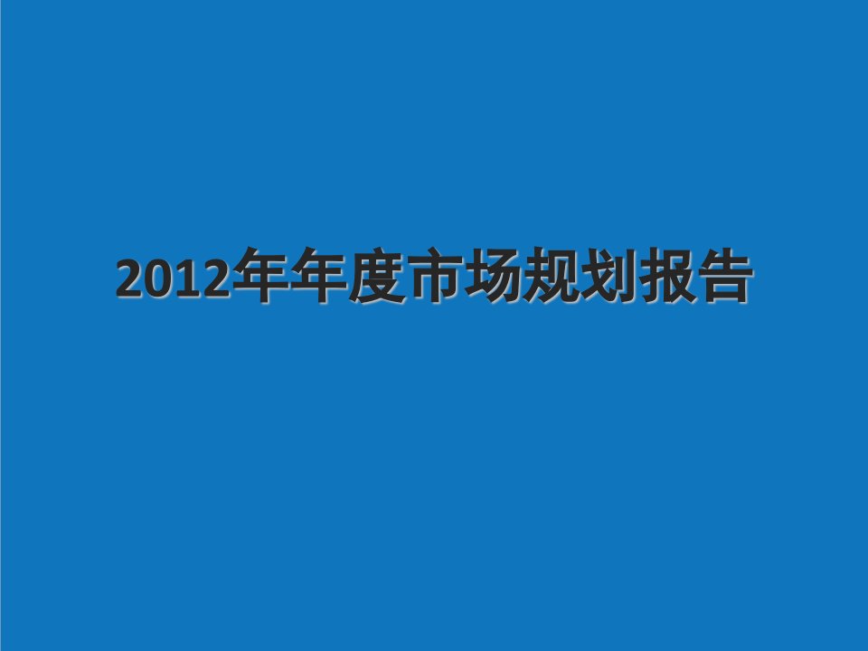 年度计划-公司年度市场规划