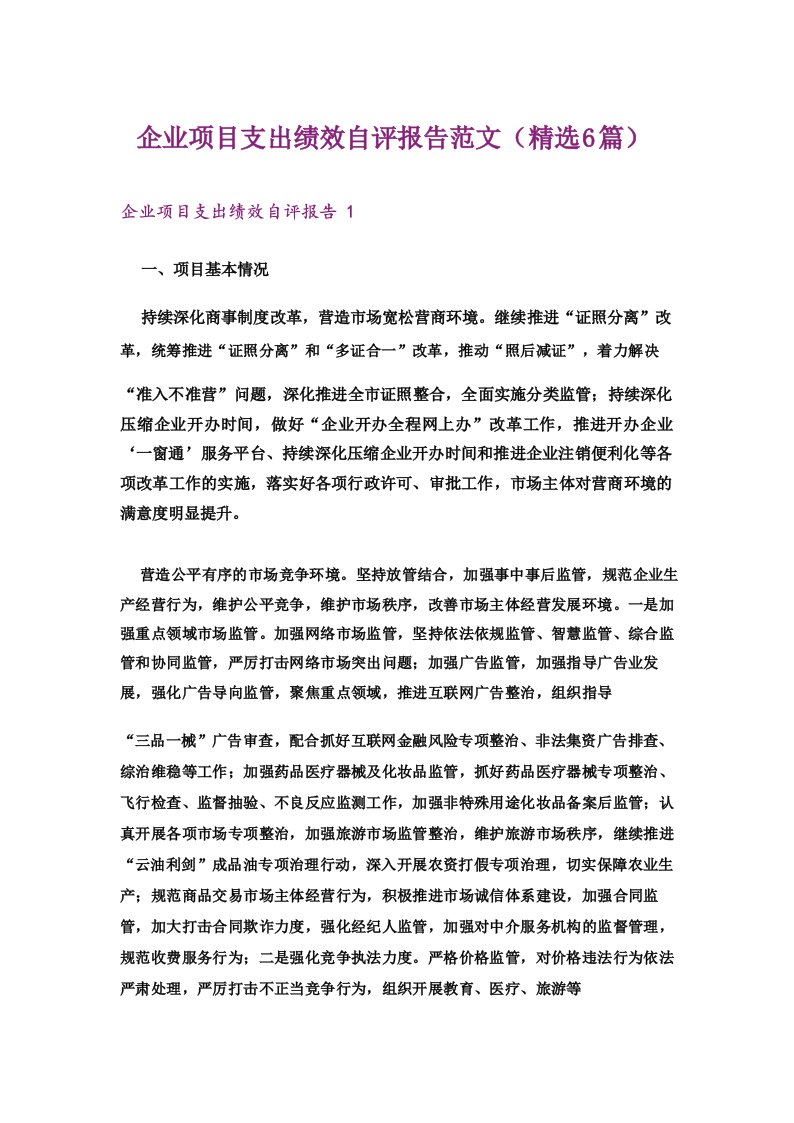 企业项目支出绩效自评报告范文(精选6篇)