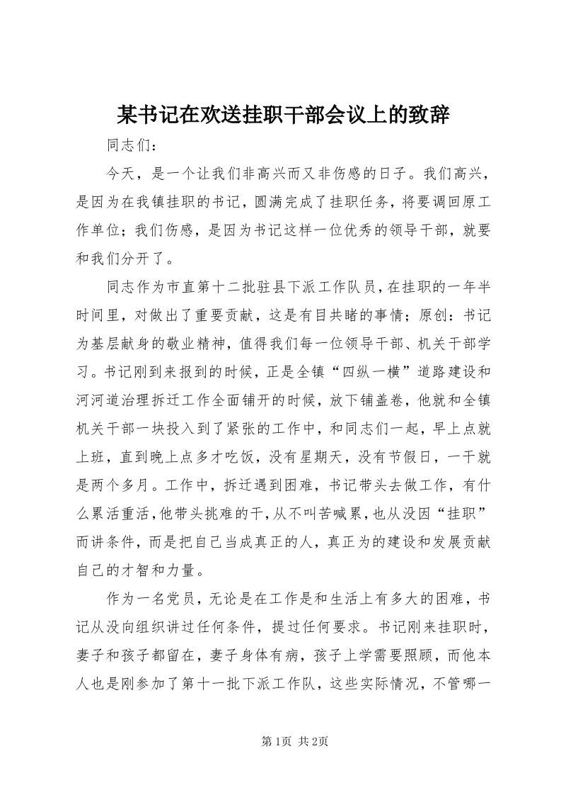 4某书记在欢送挂职干部会议上的致辞