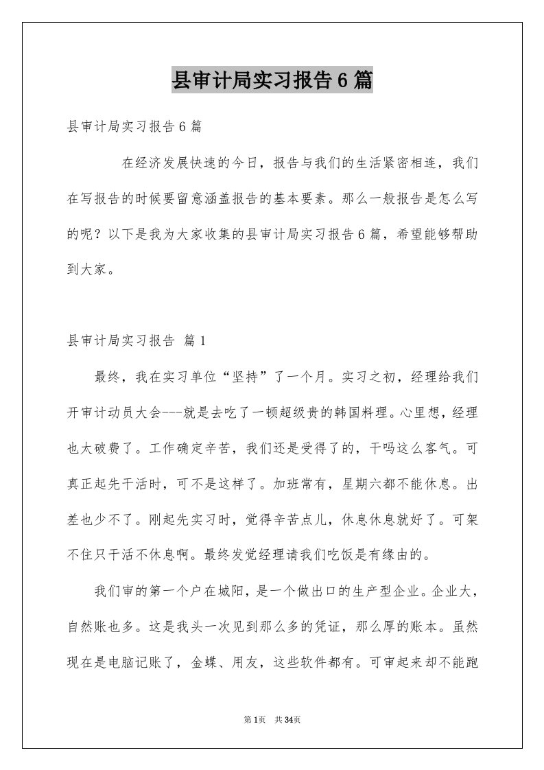 县审计局实习报告6篇