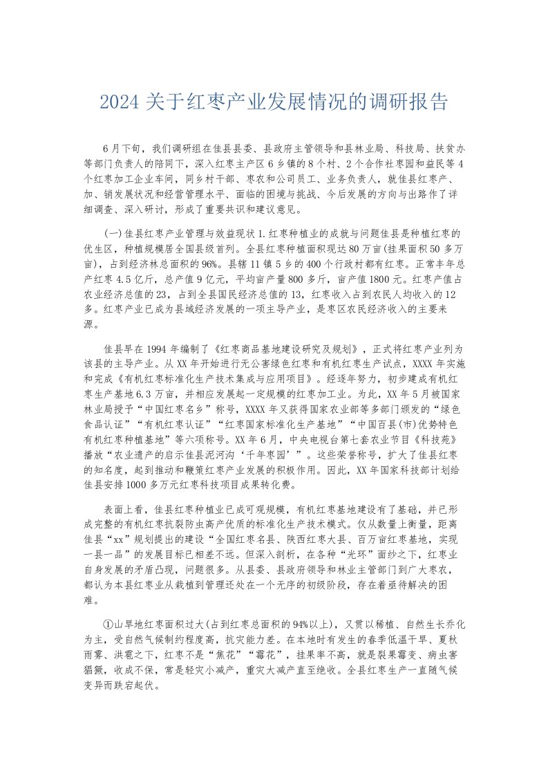 总结报告2024关于红枣产业发展情况的调研报告