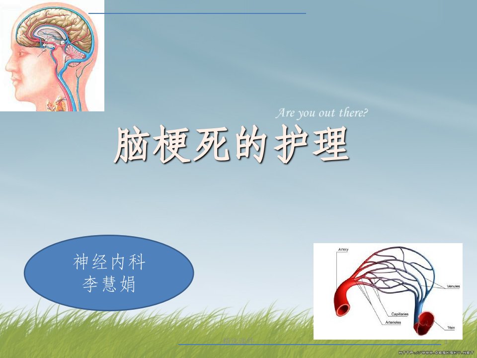 脑梗死的护理内容ppt