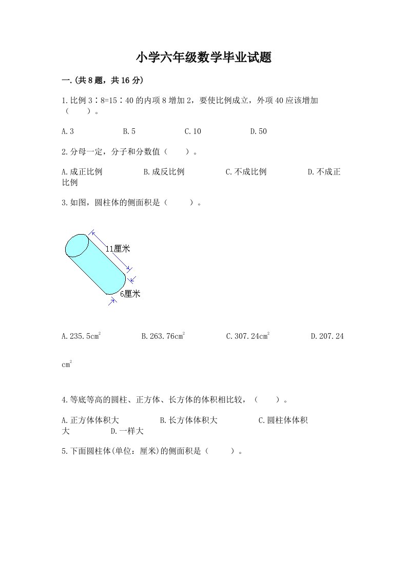 小学六年级数学毕业试题精品【名师系列】