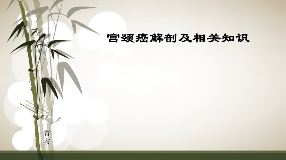 宫颈癌解剖及相关知识