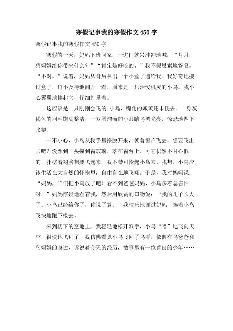 寒假记事我的寒假作文450字