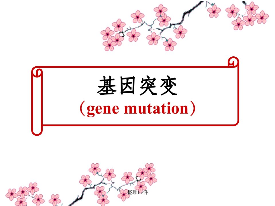 《遗传学基因突变》