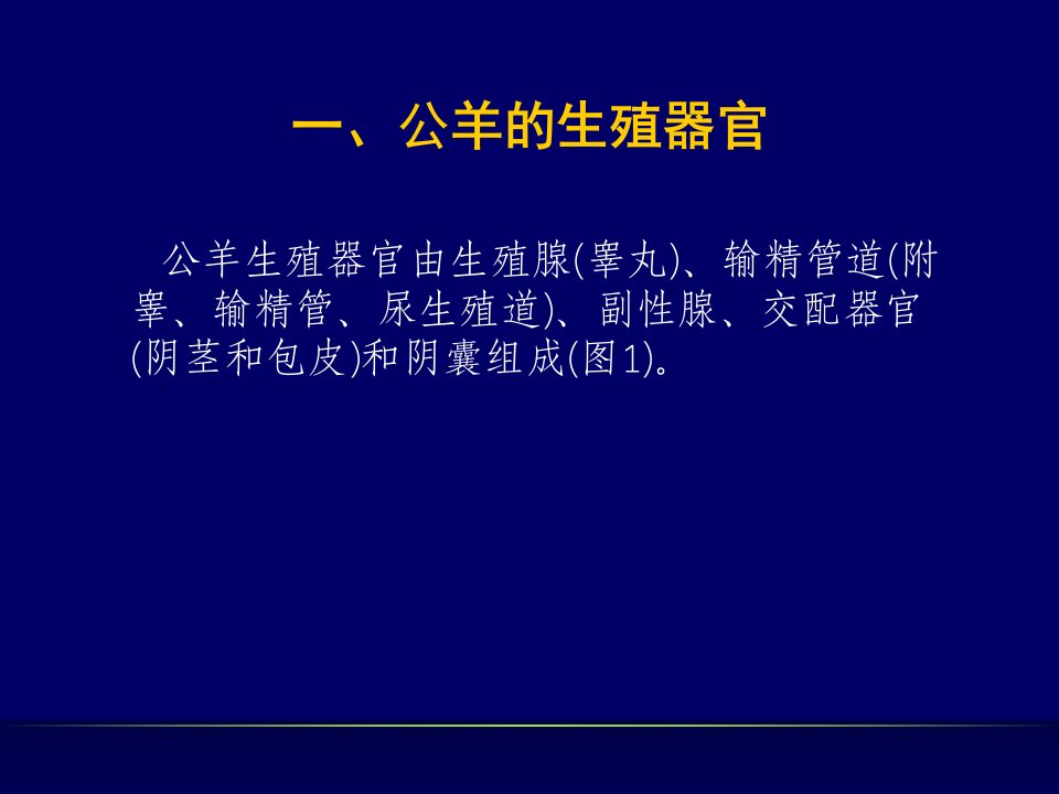 羊的人工授精技术PPT讲座