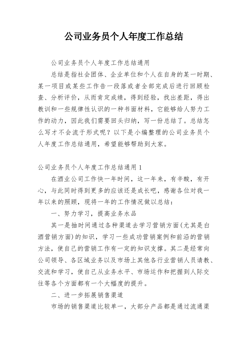 公司业务员个人年度工作总结