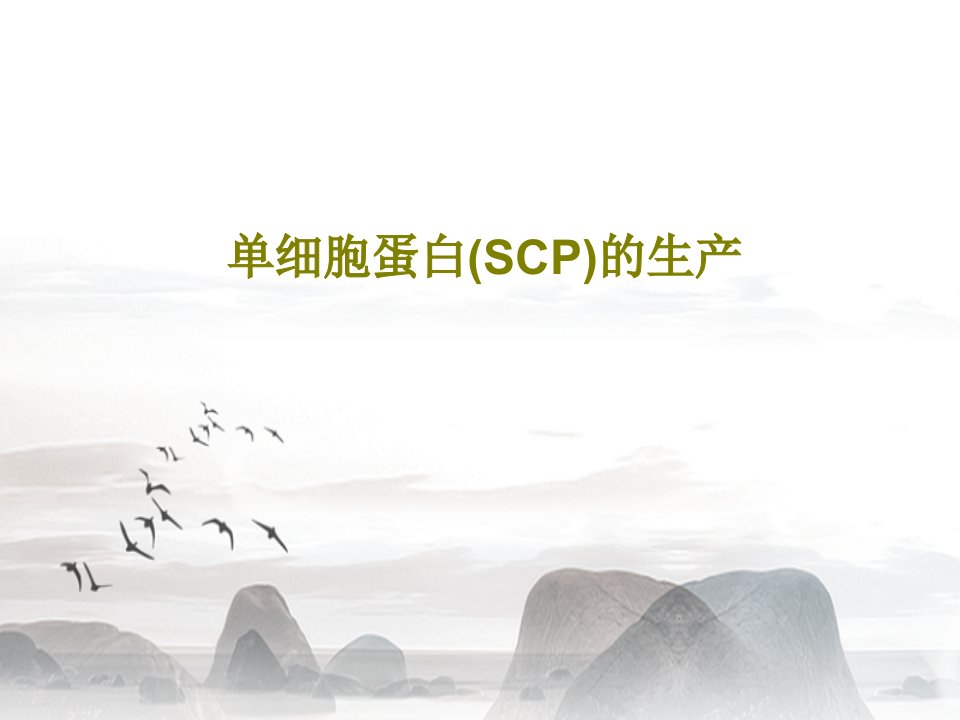 单细胞蛋白(SCP)的生产共53页PPT