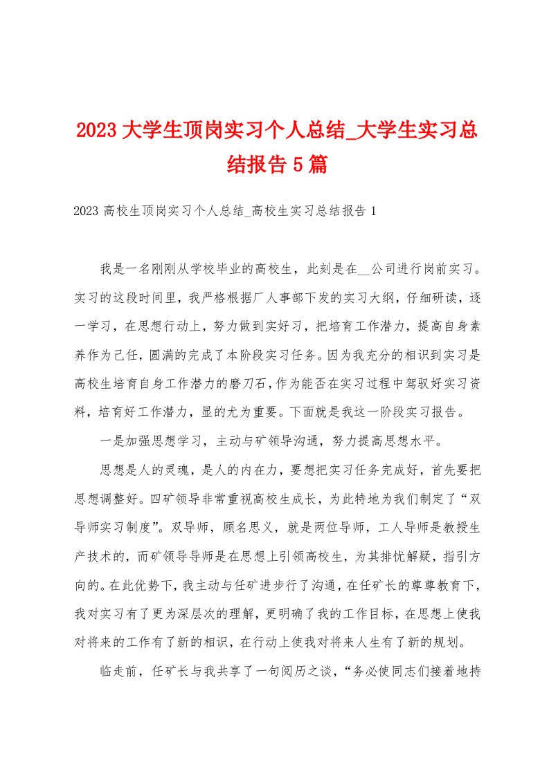 2023大学生顶岗实习个人总结