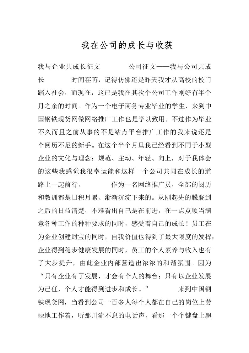 我在公司的成长与收获