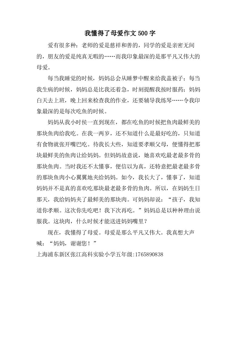 我懂得了母爱作文500字