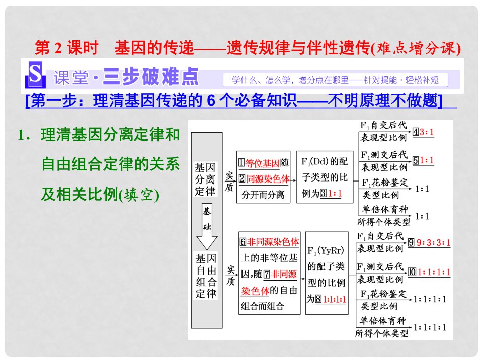 高考生物二轮复习