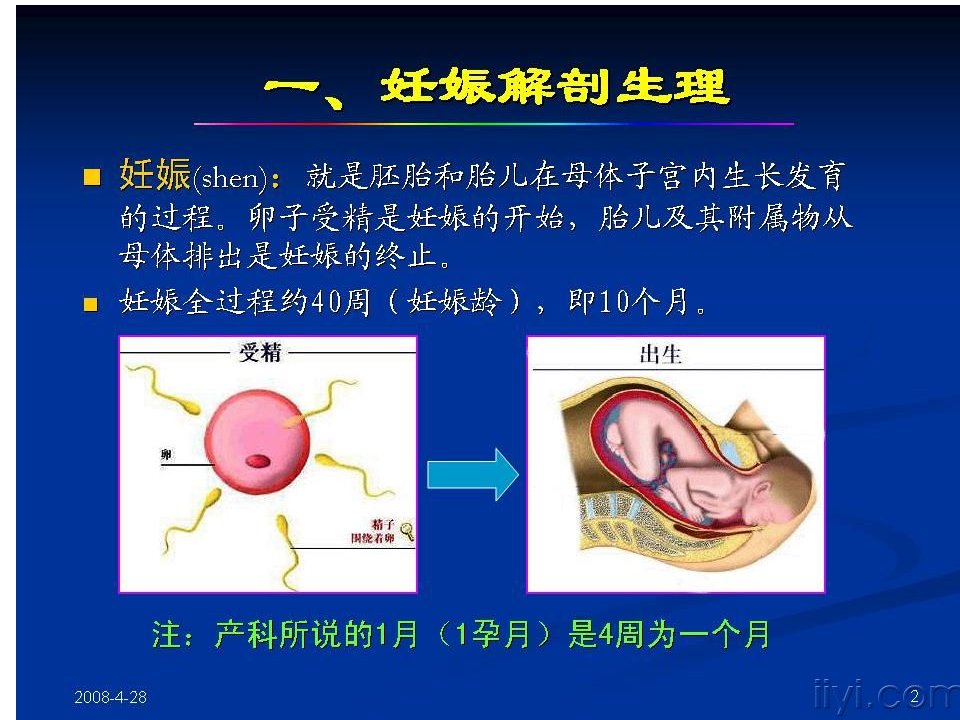 产科超声检查与诊断