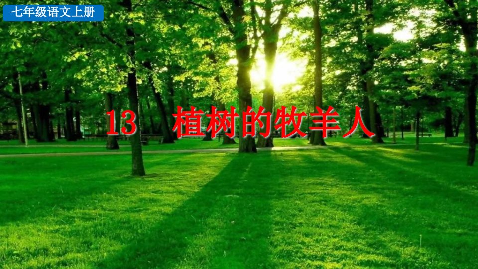 人教部编版七年级语文上册《植树的牧羊人》课件