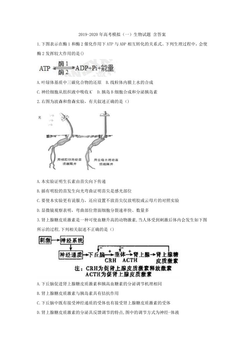 2019-2020年高考模拟（一）生物试题