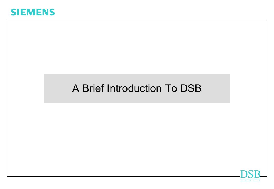 ABriefIntroductionToDSB