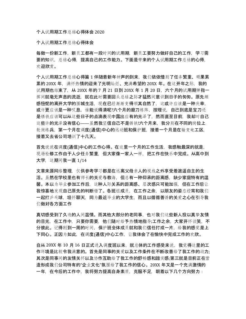 个人试用期工作总结心得体会2020