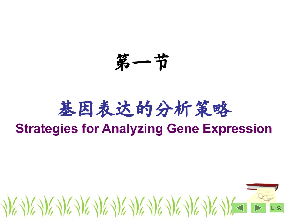 第26基因表达及功能分析基本策略袁野