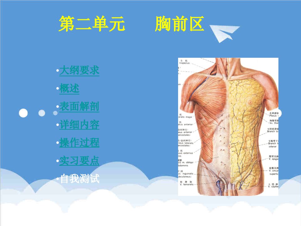 局部解剖胸前区