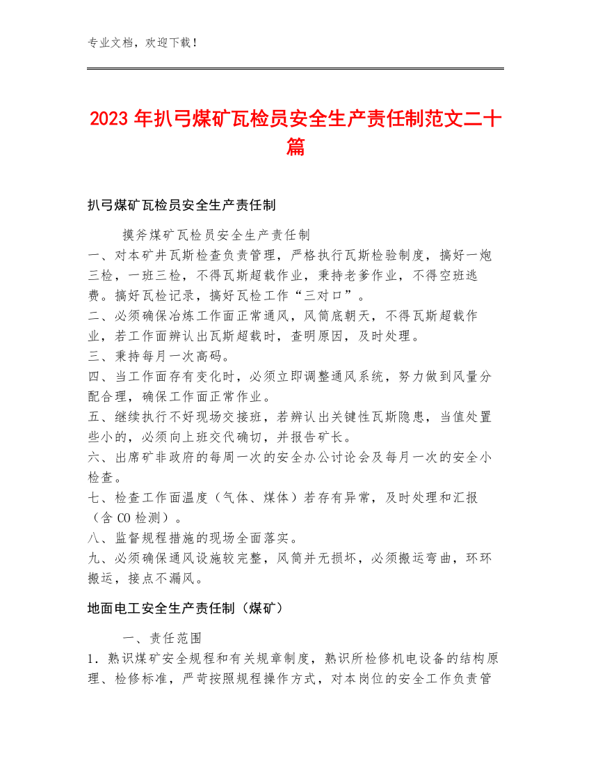 2023年扒弓煤矿瓦检员安全生产责任制范文二十篇