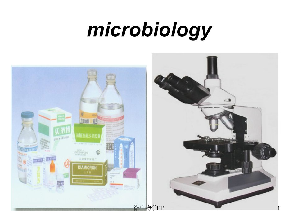 微生物学PP课件