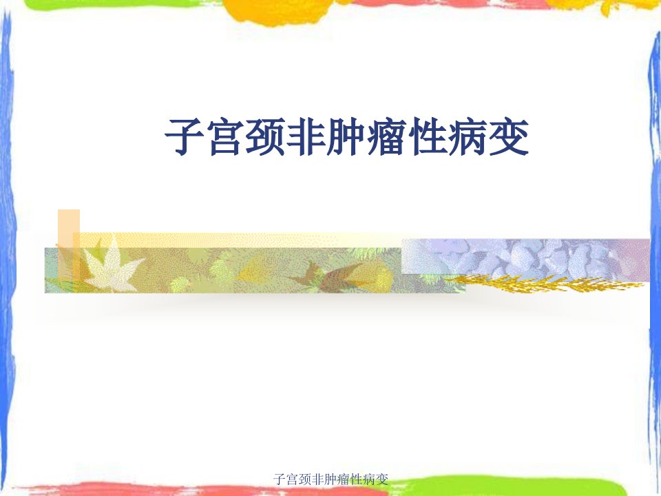 子宫颈非肿瘤性病变