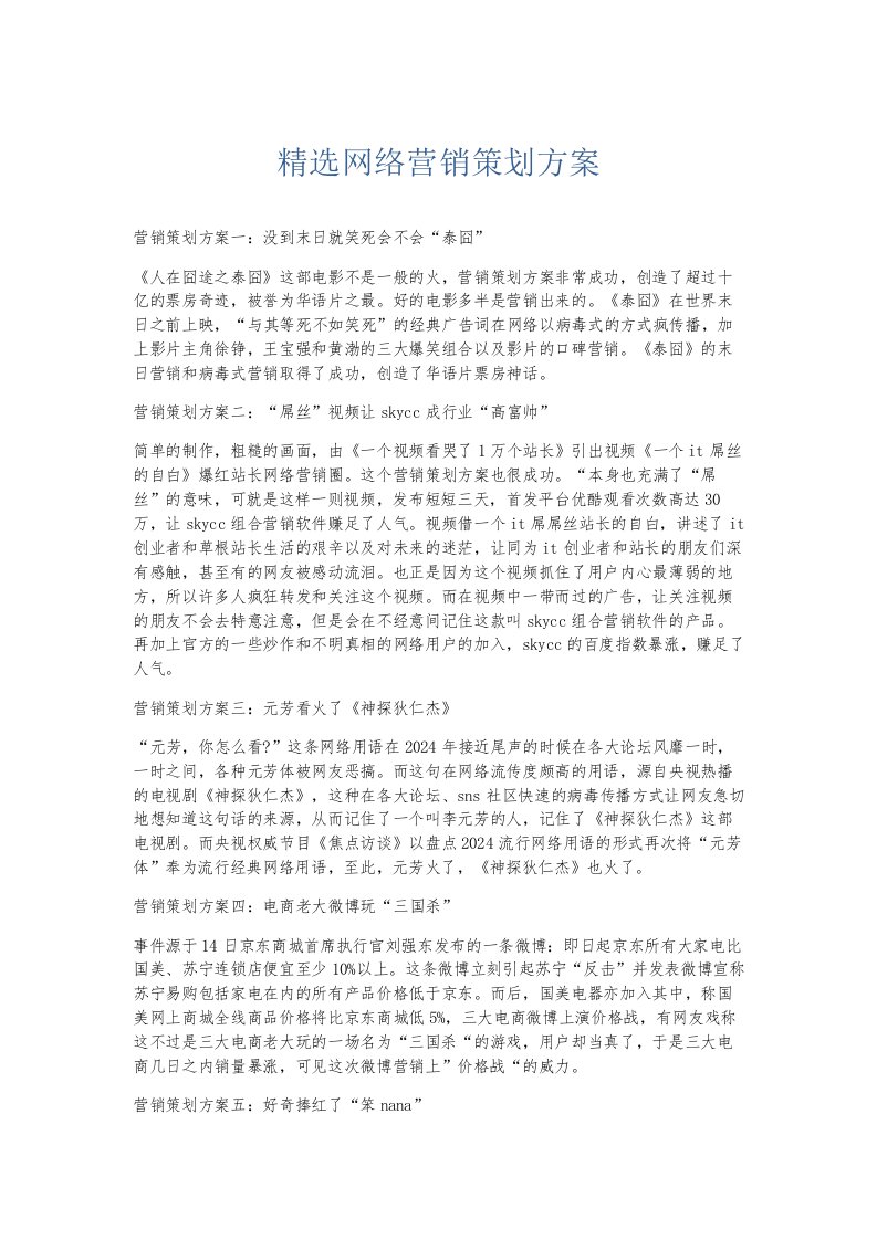 总结报告精选网络营销策划方案