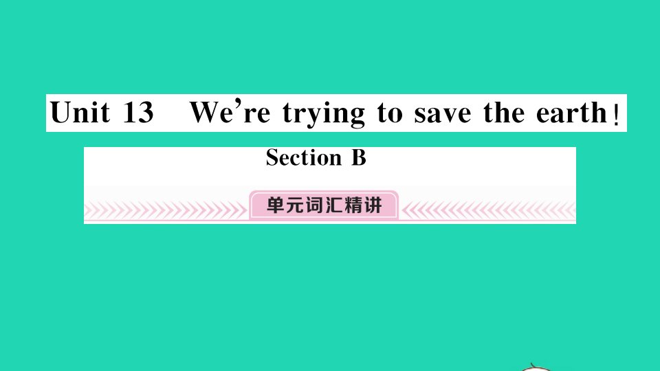 安徽专版九年级英语全册Unit13We'retryingtosavetheearthSectionB小册子作业课件新版人教新目标版