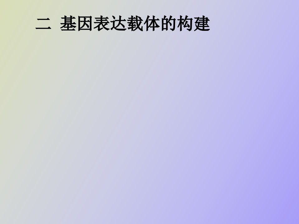 基因表达载体构建