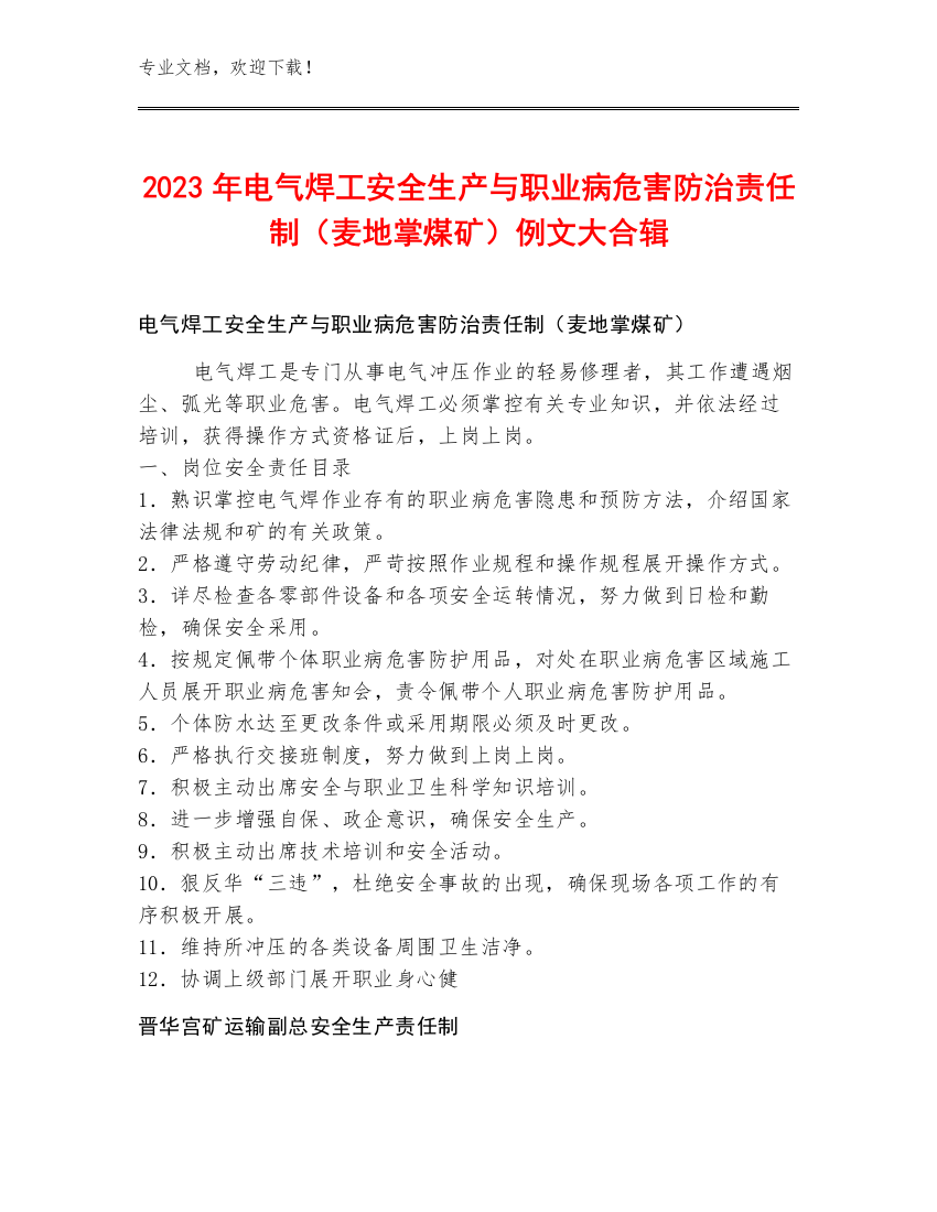 2023年电气焊工安全生产与职业病危害防治责任制（麦地掌煤矿）例文大合辑