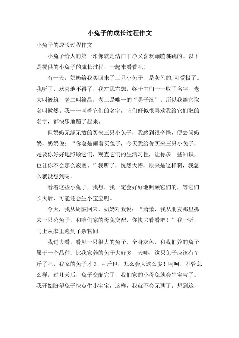 小兔子的成长过程作文