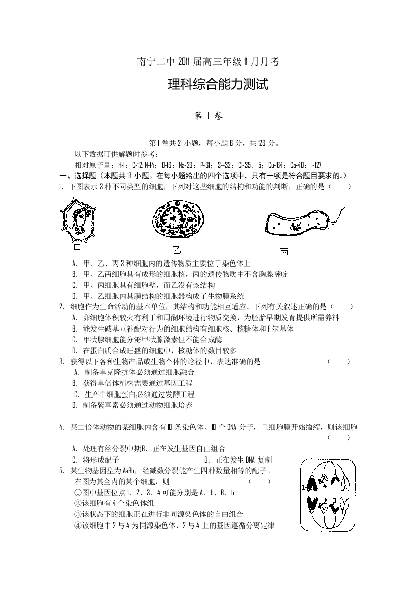 广西南宁二中高三11月月考理综试题