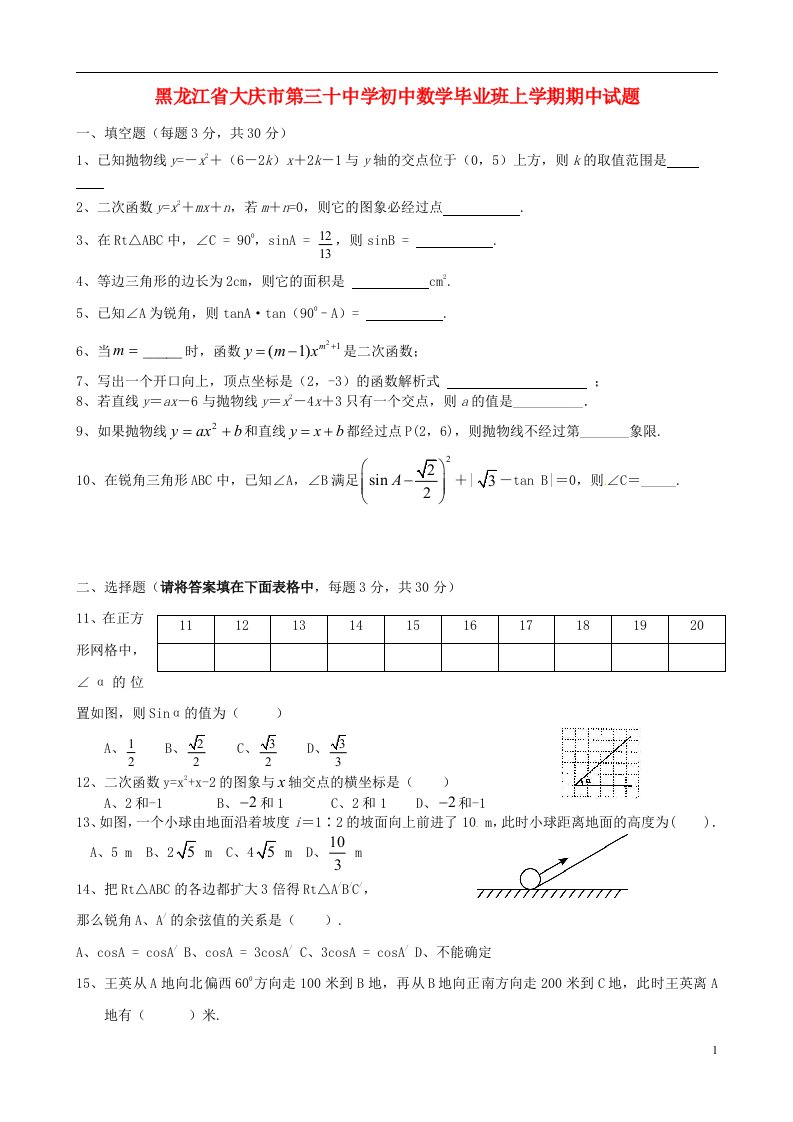 黑龙江省大庆市第三十中学初中数学毕业班上学期期中试题（无答案）