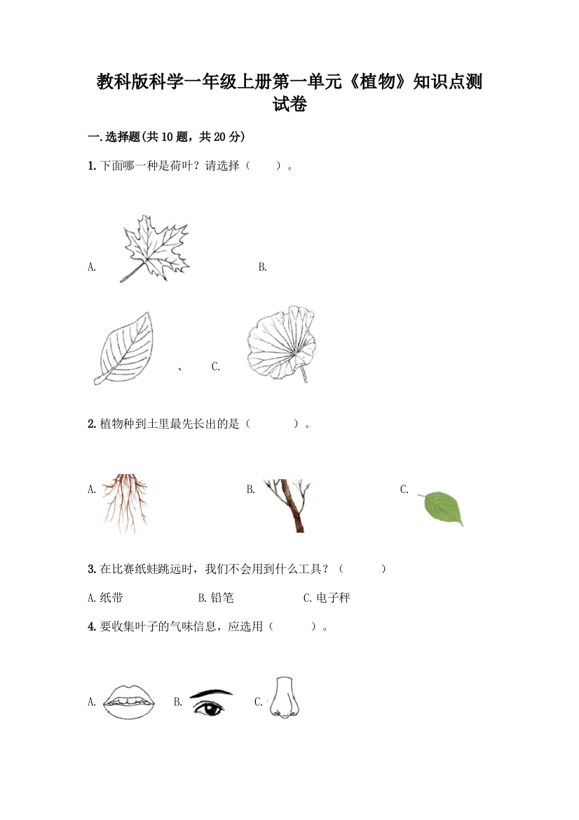 教科版科学一年级上册第一单元《植物》知识点测试卷附完整答案(典优)