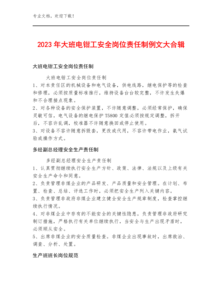 2023年大班电钳工安全岗位责任制例文大合辑