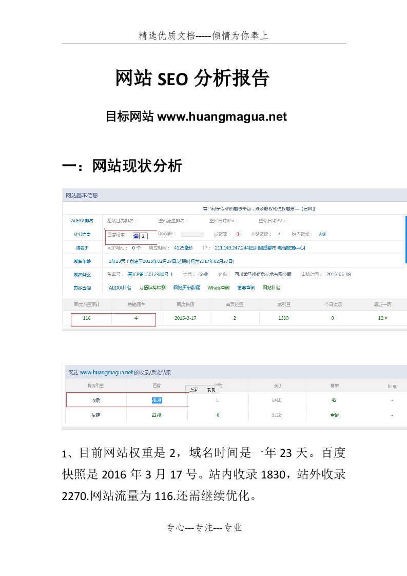 网站SEO分析报告(共9页)