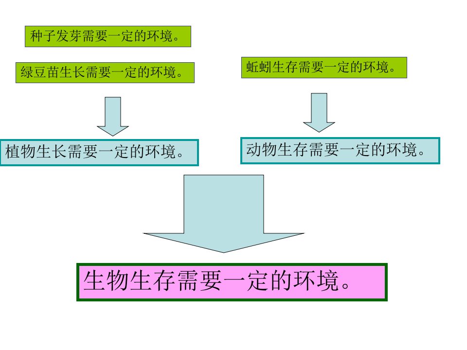 食物链和食物网