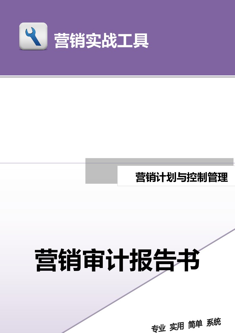 建筑资料-营销审计报告书doc