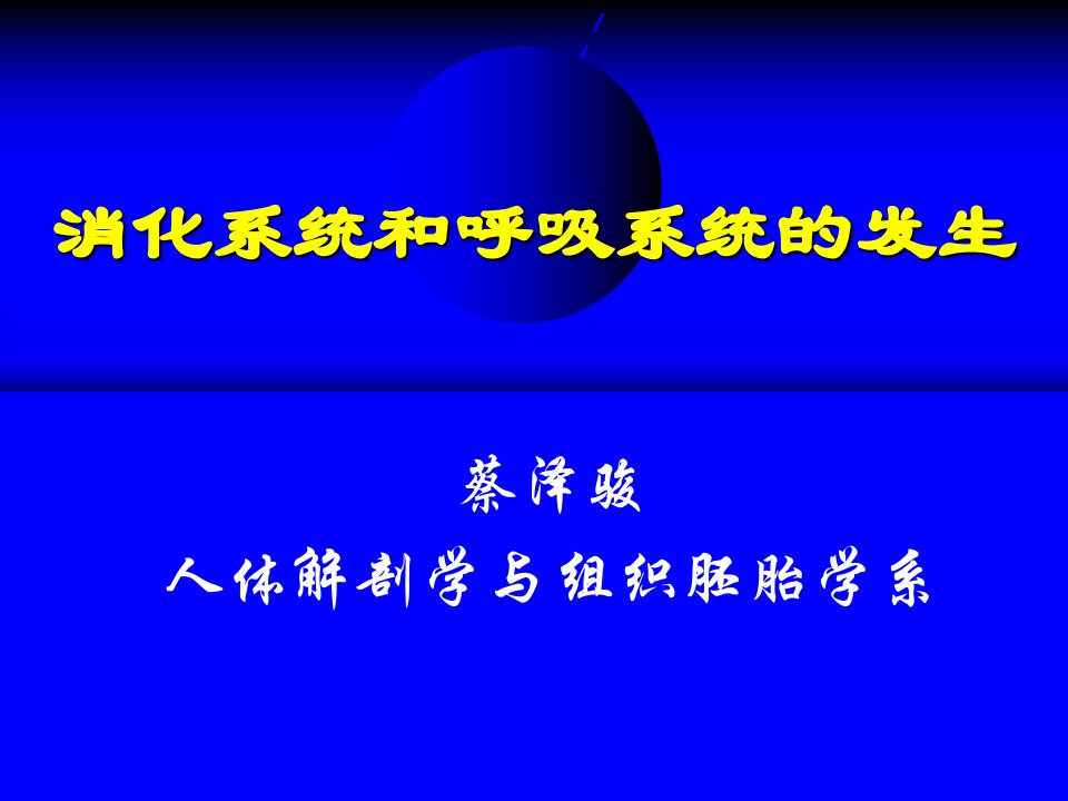 消化系统和呼吸系统的发生