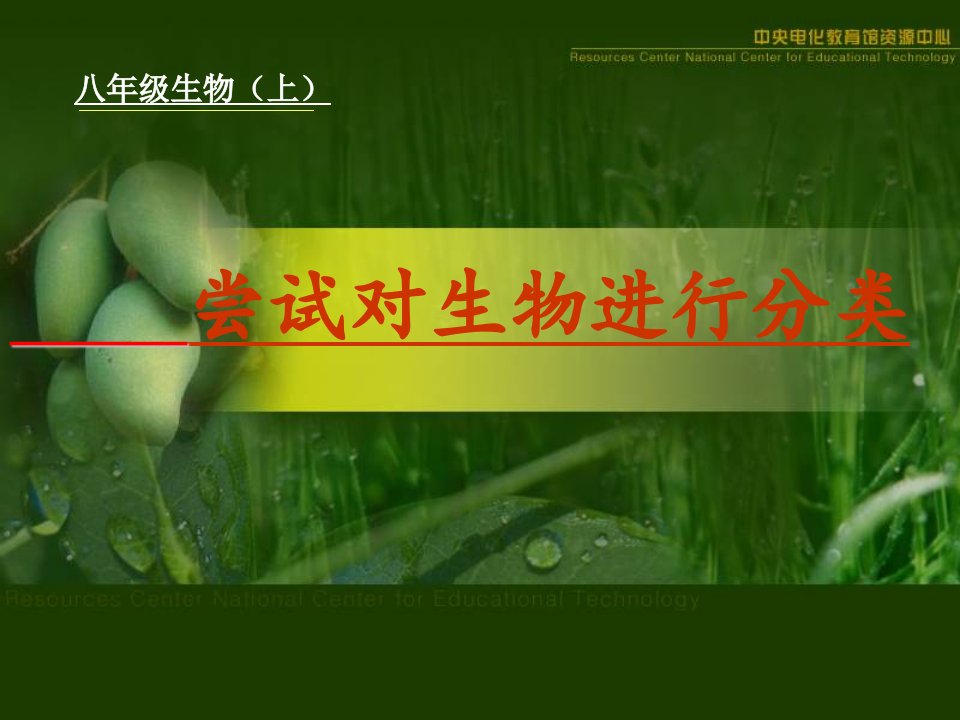 初中八年级上册《尝试对生物进行分类》公开课竞赛课件