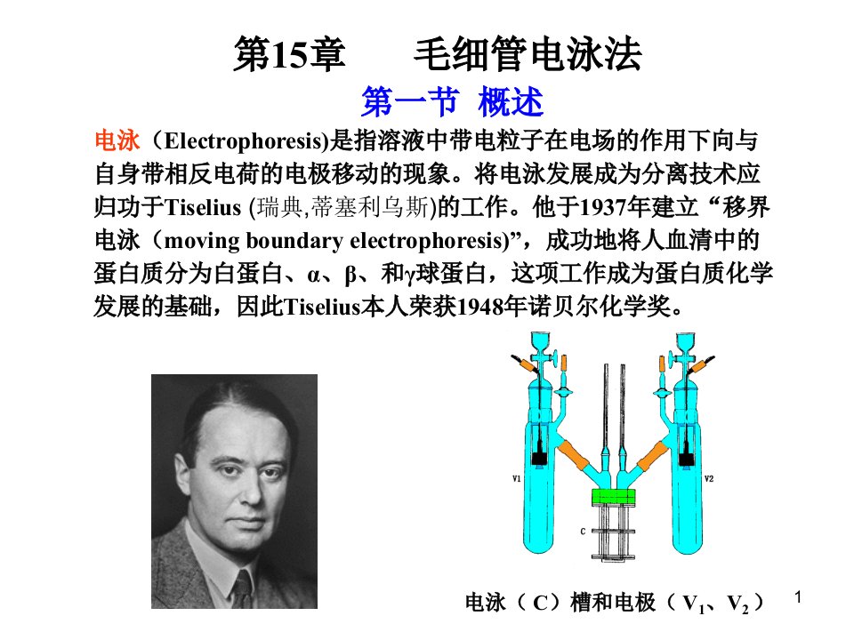 2015毛细管电泳