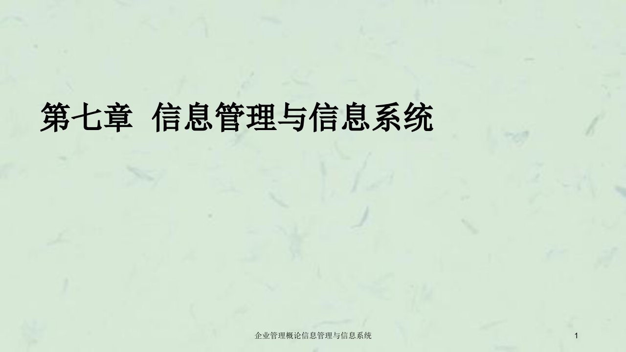 企业管理概论信息管理与信息系统课件