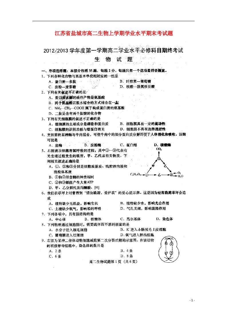 江苏省盐城市高二生物上学期学业水平期末考试题