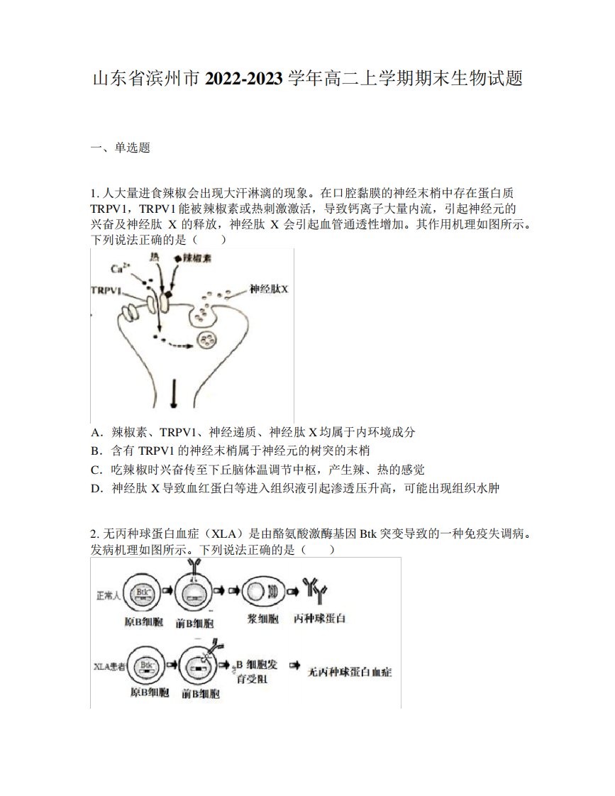 山东省滨州市2022-2023学年高二上学期期末生物试题